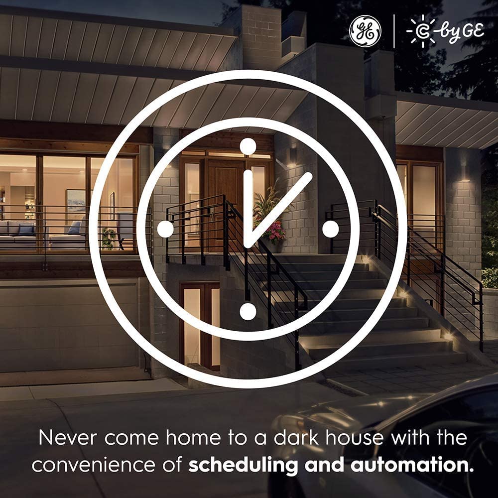 71Ktgj4d7TL._AC_SL1000_